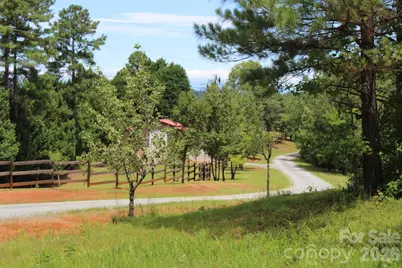 000 John Watson Road, Rutherfordton, NC 28139 - Photo 15