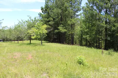 000 John Watson Road, Rutherfordton, NC 28139 - Photo 3