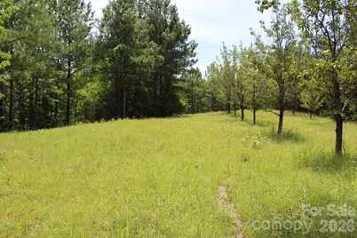 000 John Watson Road, Rutherfordton, NC 28139 - Photo 17
