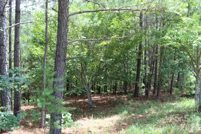 000 John Watson Road, Rutherfordton, NC 28139 - Photo 9