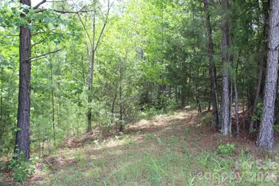 000 John Watson Road, Rutherfordton, NC 28139 - Photo 11