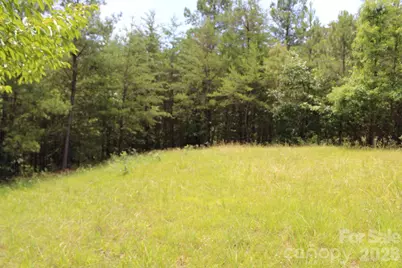 000 John Watson Road, Rutherfordton, NC 28139 - Photo 7