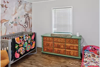 742 Sidney Cornwell Drive, Catawba, SC 29704 - Photo 11