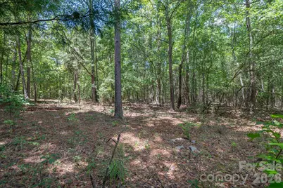 72 Thurman Garage Lane, Jefferson, SC 29718 - Photo 9