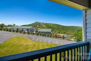 301 Pinnacle Inn Rd, Beech Mountain, NC 28604 - Photo 23