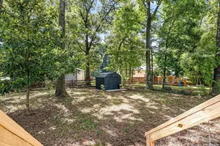 9501 Buckskin Ln, Charlotte, NC 28227 - Photo 21