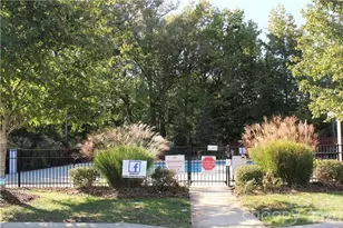 710 Mickelson Way, Fort Mill, SC 29715 - Photo 3