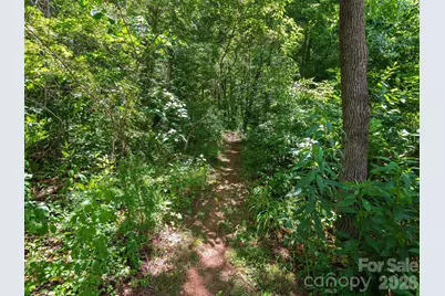 46 Perennial Ridge, Weaverville, NC 28787 - Photo 33