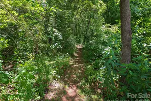 46 Perennial Rdg, Weaverville, NC 28787 - Photo 33