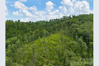 46 Perennial Ridge, Weaverville, NC 28787 - Photo 39