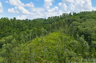 46 Perennial Rdg, Weaverville, NC 28787 - Photo 39