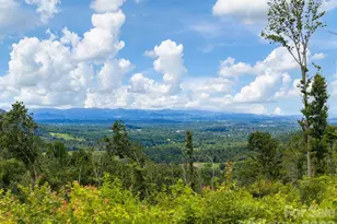 46 Perennial Rdg, Weaverville, NC 28787 - Photo 41