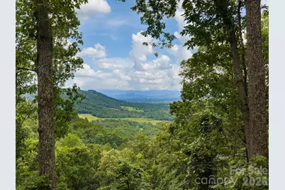 46 Perennial Ridge, Weaverville, NC 28787 - Photo 37