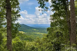 46 Perennial Rdg, Weaverville, NC 28787 - Photo 37