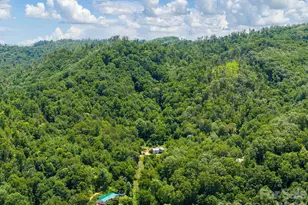 46 Perennial Rdg, Weaverville, NC 28787 - Photo 45