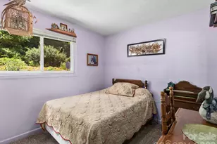 46 Perennial Rdg, Weaverville, NC 28787 - Photo 23