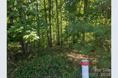120 Scenic Ridge Drive #36, Mooresboro, NC 28114 - Photo 17