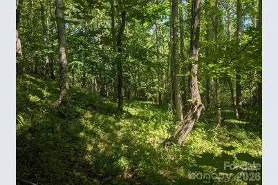 120 Scenic Ridge Drive #36, Mooresboro, NC 28114 - Photo 11