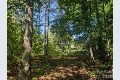120 Scenic Ridge Drive #36, Mooresboro, NC 28114 - Photo 3