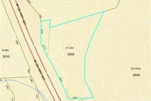 11526 US Hwy 421 None, Purlear, NC 28665 - Photo 45