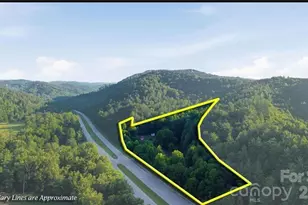 11526 US Hwy 421 None, Purlear, NC 28665 - Photo 5