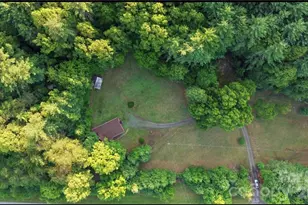 11526 US Hwy 421 None, Purlear, NC 28665 - Photo 41