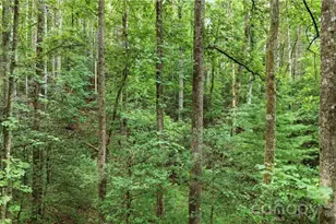 11526 US Hwy 421 None, Purlear, NC 28665 - Photo 39