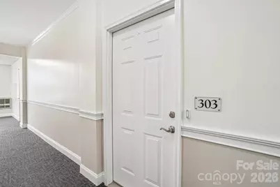 175 S Lexington Avenue #303, Asheville, NC 28801 - Photo 29