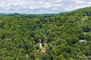 19 Loggers Run, Hendersonville, NC 28739 - Photo 23