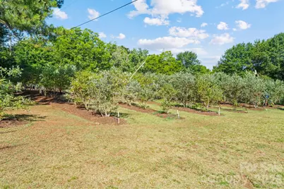 1483 Hopewell Church Road, Catawba, NC 28609 - Photo 11