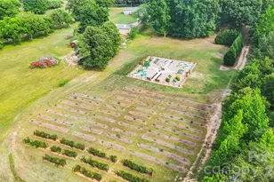 1483 Hopewell Church Rd, Catawba, NC 28609 - Photo 9