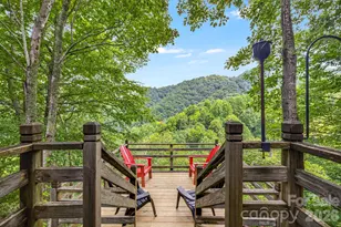 1390 Baltimore Branch Rd, Hot Springs, NC 28743 - Photo 3