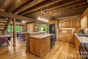 1390 Baltimore Branch Rd, Hot Springs, NC 28743 - Photo 5