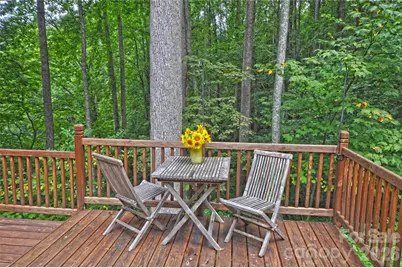 1390 Baltimore Branch Road, Hot Springs, NC 28743 - Photo 47