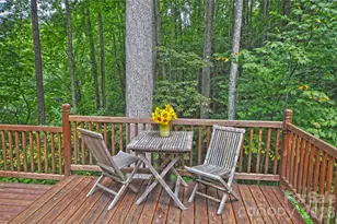 1390 Baltimore Branch Rd, Hot Springs, NC 28743 - Photo 47
