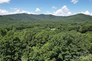 1545 Country View Way, Arden, NC 28704 - Photo 1