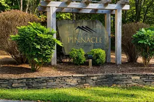 109 Spring Holw, Mill Spring, NC 28756 - Photo 29