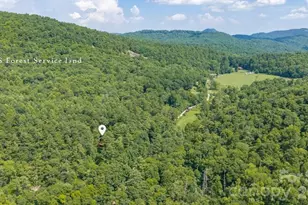 4435 Flat Mountain Rd, Highlands, NC 28741 - Photo 29