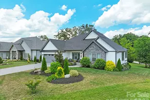 549 Daniel Cir Dr, Mills River, NC 28759 - Photo 3
