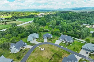 549 Daniel Cir Dr, Mills River, NC 28759 - Photo 37