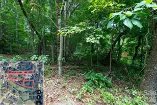 230 Pisgah View Rd, Asheville, NC 28806 - Photo 11