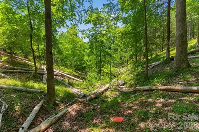 000 Blanton Road #2, Sharon, SC 29742 - Photo 19