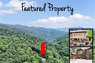 3214 Big Laurel Rd, Waynesville, NC 28785 - Photo 45
