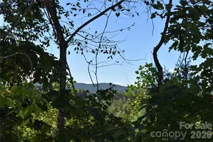 120 Woodmont Dr, Nebo, NC 28761 - Photo 1