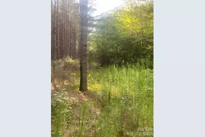 - Red Yam Farm Road, Dallas, NC 28034 - Photo 3