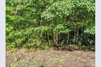 141 Dalton Court, Lake Lure, NC 28746 - Photo 37