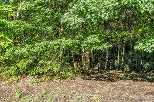 141 Dalton Ct, Lake Lure, NC 28746 - Photo 37