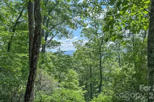 Tbd Stone Dr, Brevard, NC 28712 - Photo 1