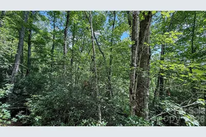 Tbd Stone Drive #L40, Brevard, NC 28712 - Photo 9