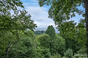 80 Merrie Way, Waynesville, NC 28786 - Photo 29